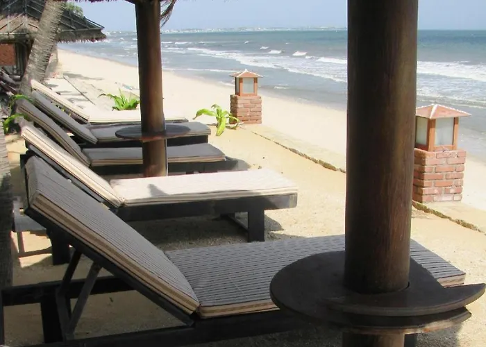 Vuon Tra Phan Thiết