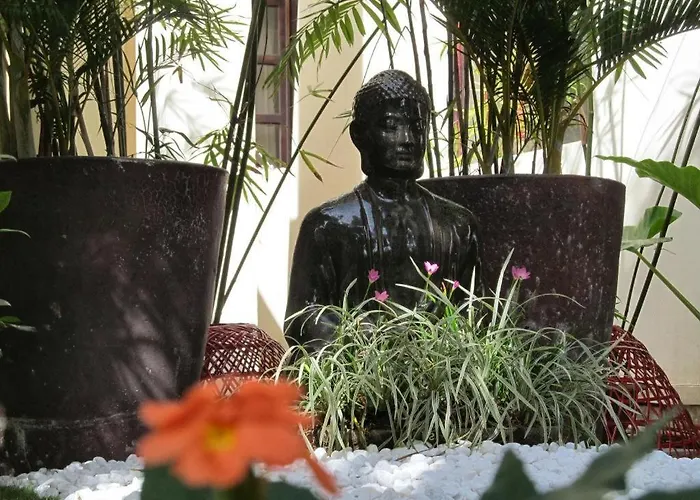 Vuon Tra lều