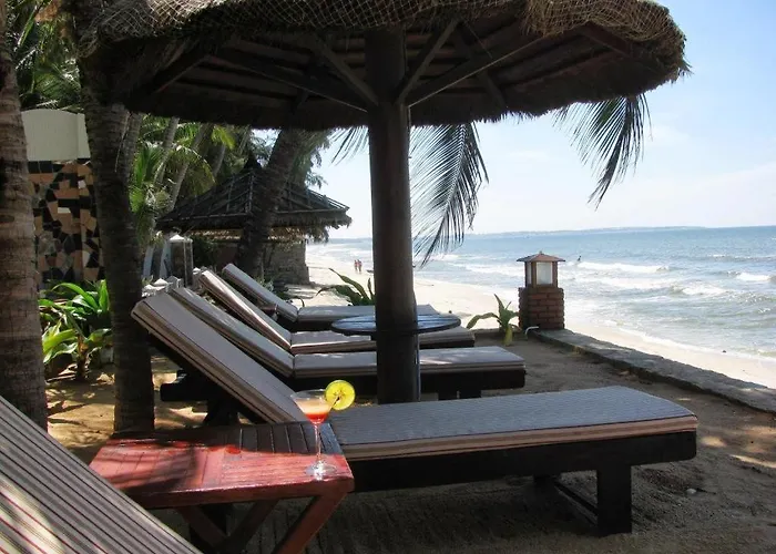 Vuon Tra lều Phan Thiết