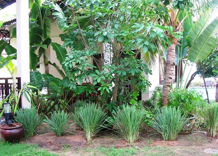 Vuon Tra lều Phan Thiết