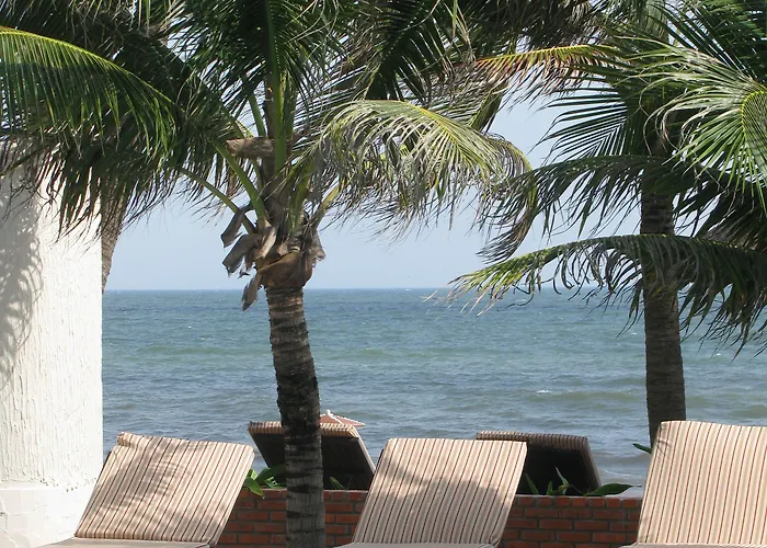 Vuon Tra Phan Thiết